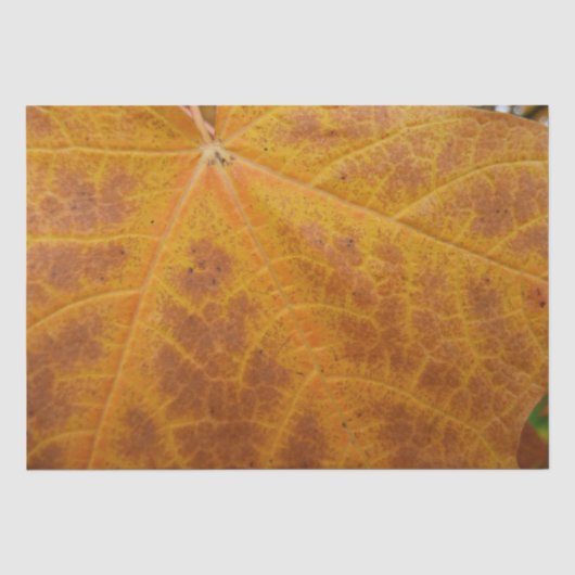 Abstracte Natuur van gele mazelen in het najaar Tissuepapier (Voorkant)
