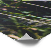 Abstracte Natuur Wandkunst – Modern Landschap Poster (Hoek)