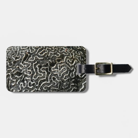 Abstracte Natuur Zwart-witkoraal II Foto Bagagelabel (Voorkant horizontaal)