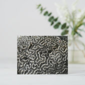 Abstracte Natuur Zwart-witkoraal II Foto Briefkaart (Staand voorkant)