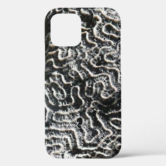 Abstracte Natuur Zwart-witkoraal II Foto Case-Mate iPhone Case (Achterkant)
