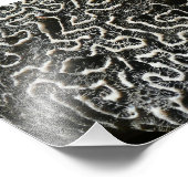 Abstracte Natuur Zwart-witkoraal II Foto Foto Afdruk (Hoek)