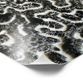 Abstracte Natuur Zwart-witkoraal II Foto Foto Afdruk (Hoek)