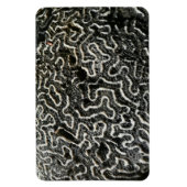 Abstracte Natuur Zwart-witkoraal II Foto Magneet (Verticaal)