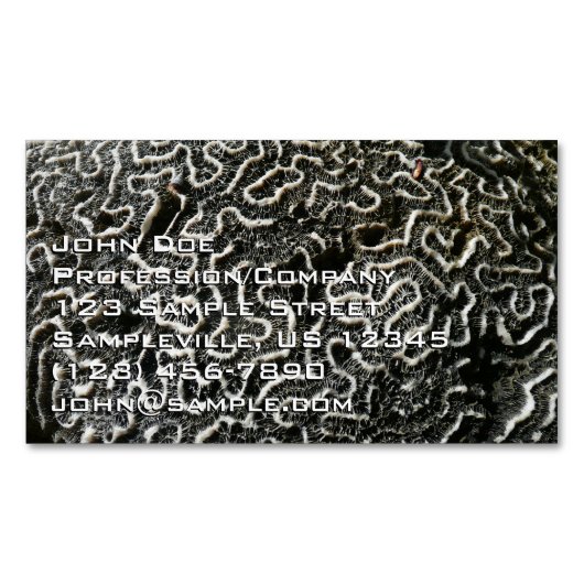 Abstracte Natuur Zwart-witkoraal II Foto Magnetisch Visitekaartje (Voorkant)