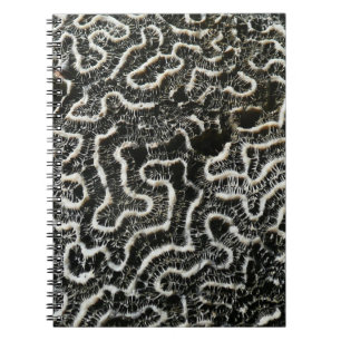 Abstracte Natuur Zwart-witkoraal II Foto Notitieboek