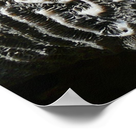 Abstracte Natuur Zwart-witkoraal II Foto Poster (Hoek)