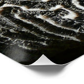 Abstracte Natuur Zwart-witkoraal II Foto Poster (Hoek)