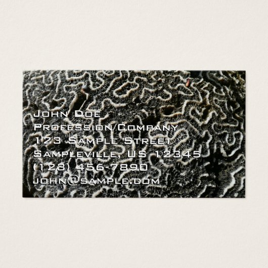 Abstracte Natuur Zwart-witkoraal II Foto Visitekaartje (Voorkant)
