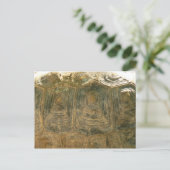 Abstracte natuurfoto van schildpadschild briefkaart (Staand voorkant)