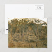 Abstracte natuurfoto van schildpadschild briefkaart (Voorkant / Achterkant)