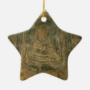 Abstracte natuurfoto van schildpadschild keramisch ornament
