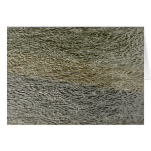 Abstracte Natuurfotografie van Regendruppelrimpels