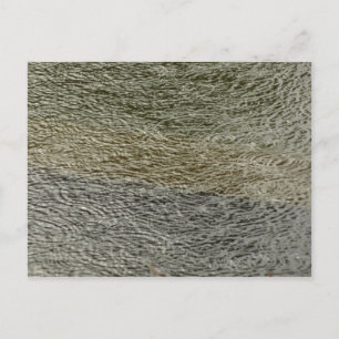 Abstracte Natuurfotografie van Regendruppelrimpels Briefkaart