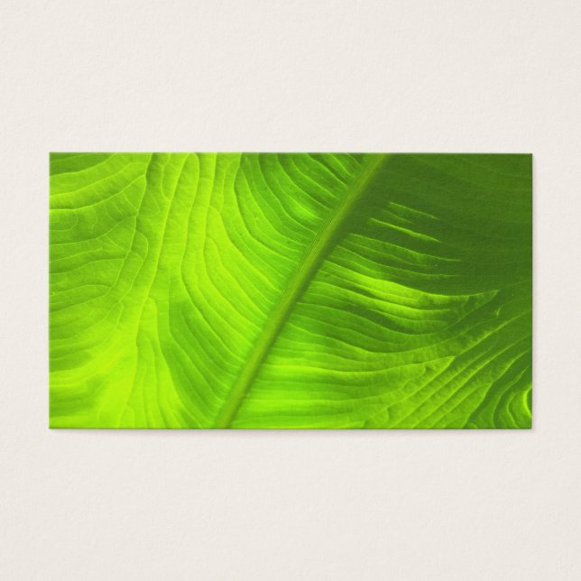 Abstracte Olifant Oor Foto w / Blank Back Visitekaartjes (Voorkant)