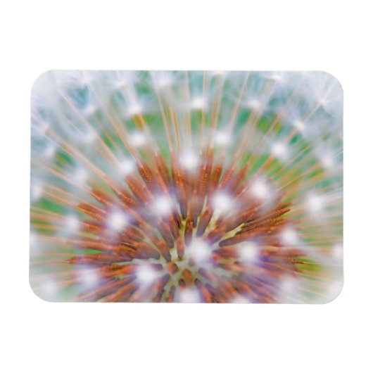 Abstracte paardenbloempluis magneet (Horizontaal)