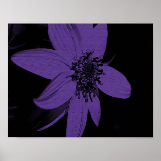 Abstracte paarse zonnebloem bloem poster (Voorkant)