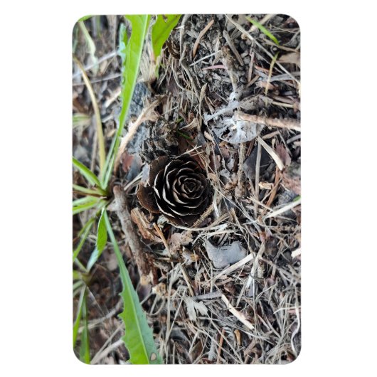 Abstracte Pineconbloem Magneet (Verticaal)