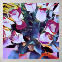 ABSTRACTE PINK HYBRIDE ROZEN