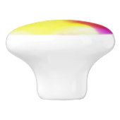 Abstracte Popart Primaire Regenboog Keramische Tre Keramische Knop (Zijkant)