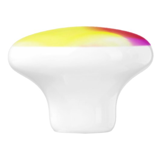 Abstracte Popart Primaire Regenboog Keramische Tre Keramische Knop (Zijkant)