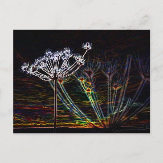 Abstracte postkaart voor Cow Parsley (Voorkant)