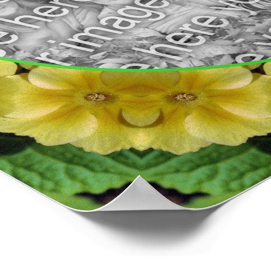 Abstracte Primrose Flowers Creëer Uw eigen foto Poster (Hoek)