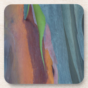 Abstracte Regenbooggomboom Bier Onderzetter