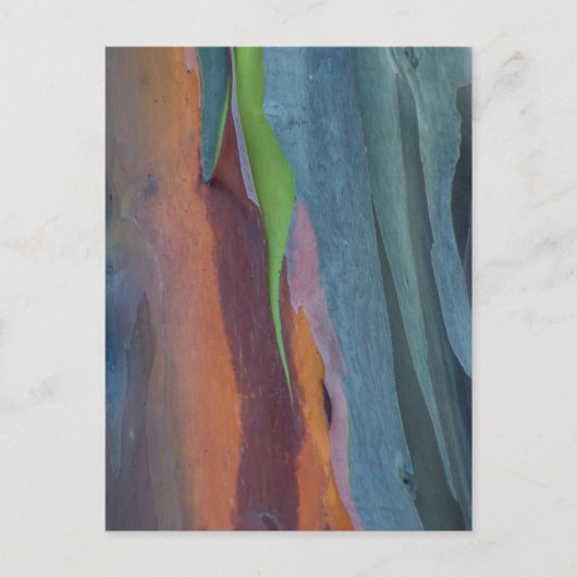 Abstracte Regenbooggomboom Briefkaart (Voorkant)