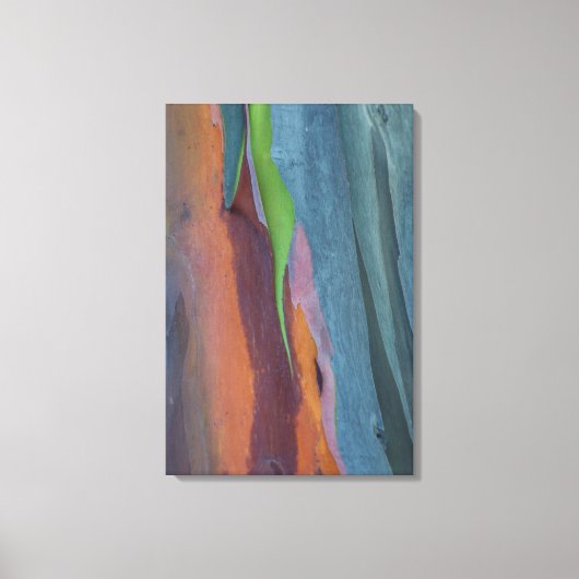 Abstracte Regenbooggomboom Canvas Afdruk (Voorkant)