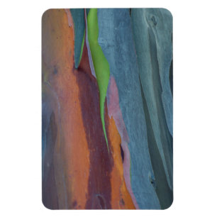 Abstracte Regenbooggomboom Magneet