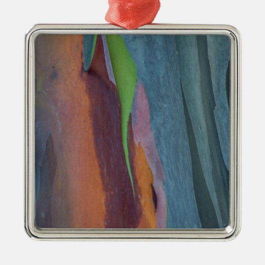Abstracte Regenbooggomboom Metalen Ornament (Voorkant)