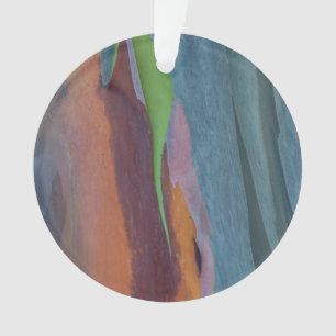 Abstracte Regenbooggomboom Ornament
