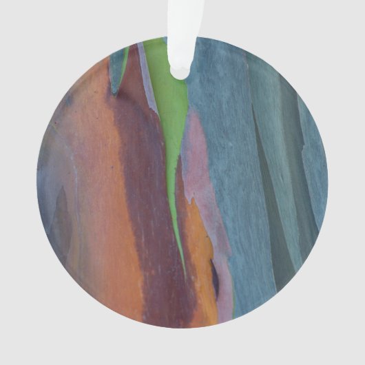 Abstracte Regenbooggomboom Ornament (voorkant)