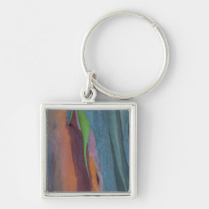 Abstracte regenbooggomboom sleutelhanger