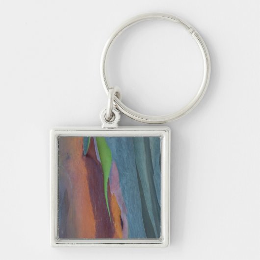 Abstracte regenbooggomboom sleutelhanger (Voorkant)