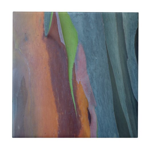 Abstracte Regenbooggomboom Tegeltje (Voorkant)