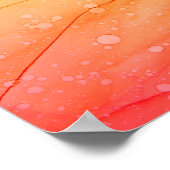 Abstracte regenboogkleurige achtergrond, behang. poster (Hoek)