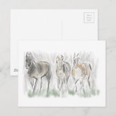 Abstracte rijpaarden briefkaart (Voorkant / Achterkant)