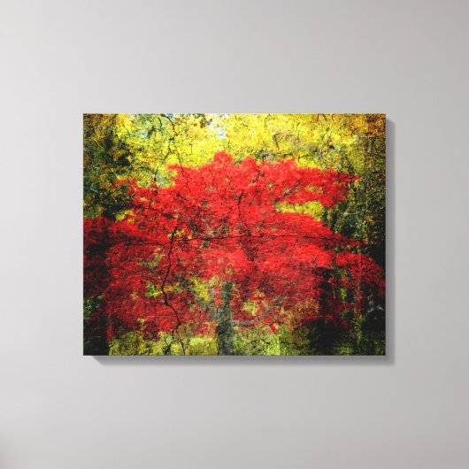 Abstracte rode bomen in het najaar canvas afdruk (Voorkant)