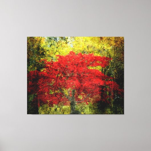 Abstracte rode bomen in het najaar canvas afdruk (Voorkant)