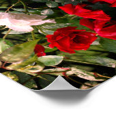 Abstracte rode en witte Rozen Poster (Hoek)