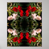 Abstracte rode en witte Rozen Poster (Voorkant)