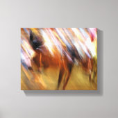 abstracte Rodeo Canvas Afdruk (Voorkant)