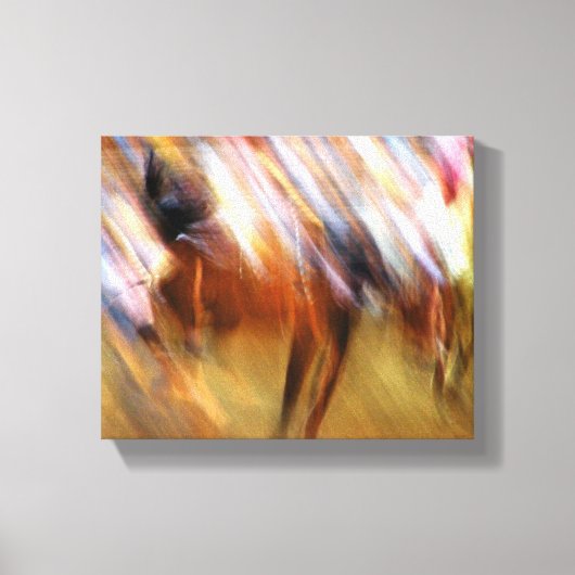 abstracte Rodeo Canvas Afdruk (Voorkant)