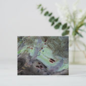 abstracte 'Roos heupen' Bewerkte reflectie in myla Briefkaart (Staand voorkant)