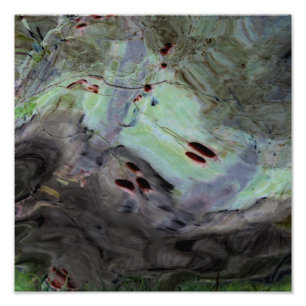 abstracte 'Roos heupen' Bewerkte reflectie in myla Foto Afdruk