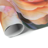 Abstracte Rozen Garden Elegant Floral Wrappin Cadeaupapier (Rol Hoek)