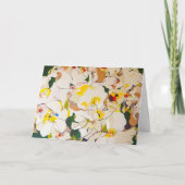 Abstracte Rozen in de namiddag Kaart (Voorkant)