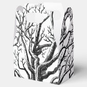 Abstracte Rustic Black & White Tree Branches Bedankdoosjes (Geopend)